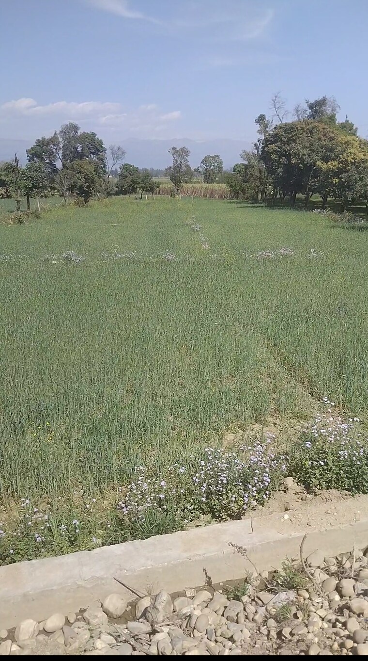 undefined, shimla bypass road  50 Acre Plot In Shimla Bypass Road Dehradun 8937131