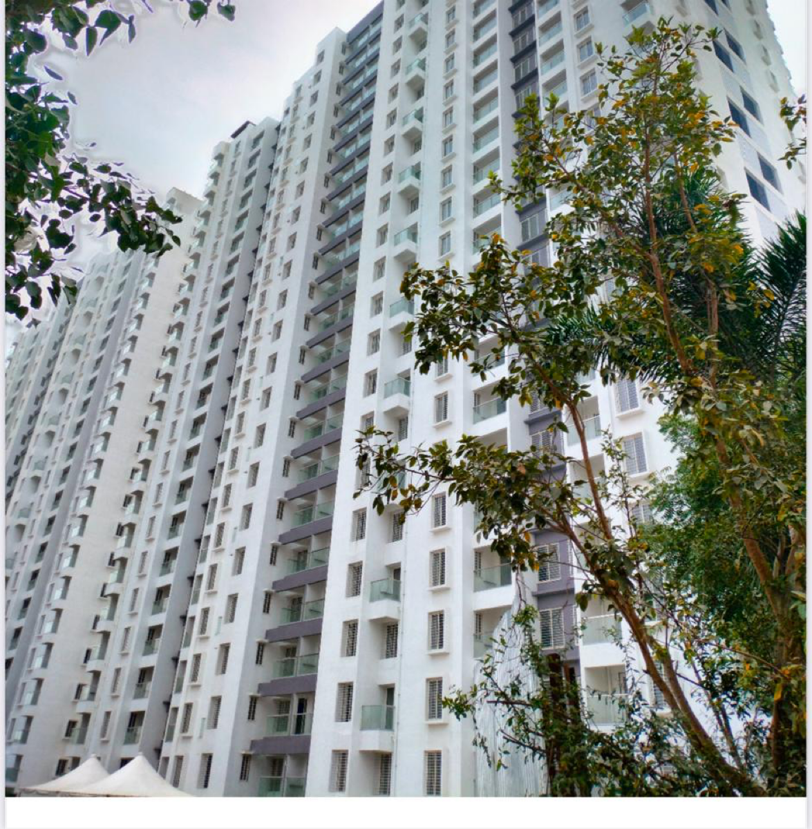 1 BHK 450 Sq.Ft. Apartment in Kolte Patil Life Republic 16th Avenue Arezo