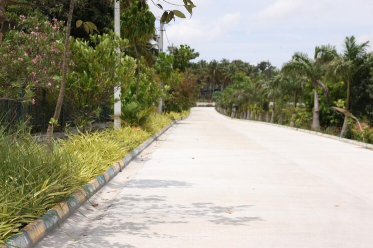 Garden, kaggalipura  1200 Sq.Ft. Plot In Kaggalipura Bangalore 8937049