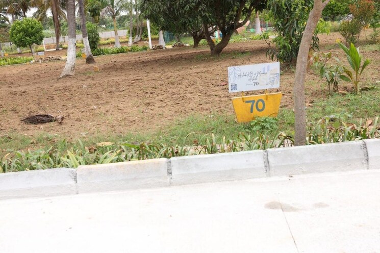 Exterior View, kaggalipura  1200 Sq.Ft. Plot In Kaggalipura Bangalore 8937049