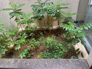 Master Plan in 4 BHK Villa at Sobha Lifestyle, Devanahalli – for Sale