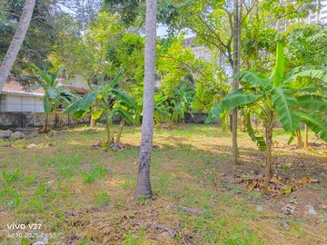  Land For Sale in Kuravankonam