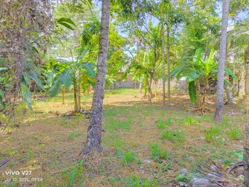  Land – Garden View at Kuravankonam - for Sale