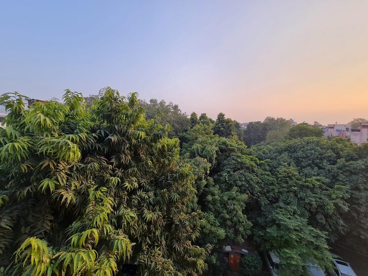 Garden, veera-safdarjung-enclave 4 Bedroom 2000 Sq.Ft. Builder Floor In Safdarjung Enclave Delhi 8937682