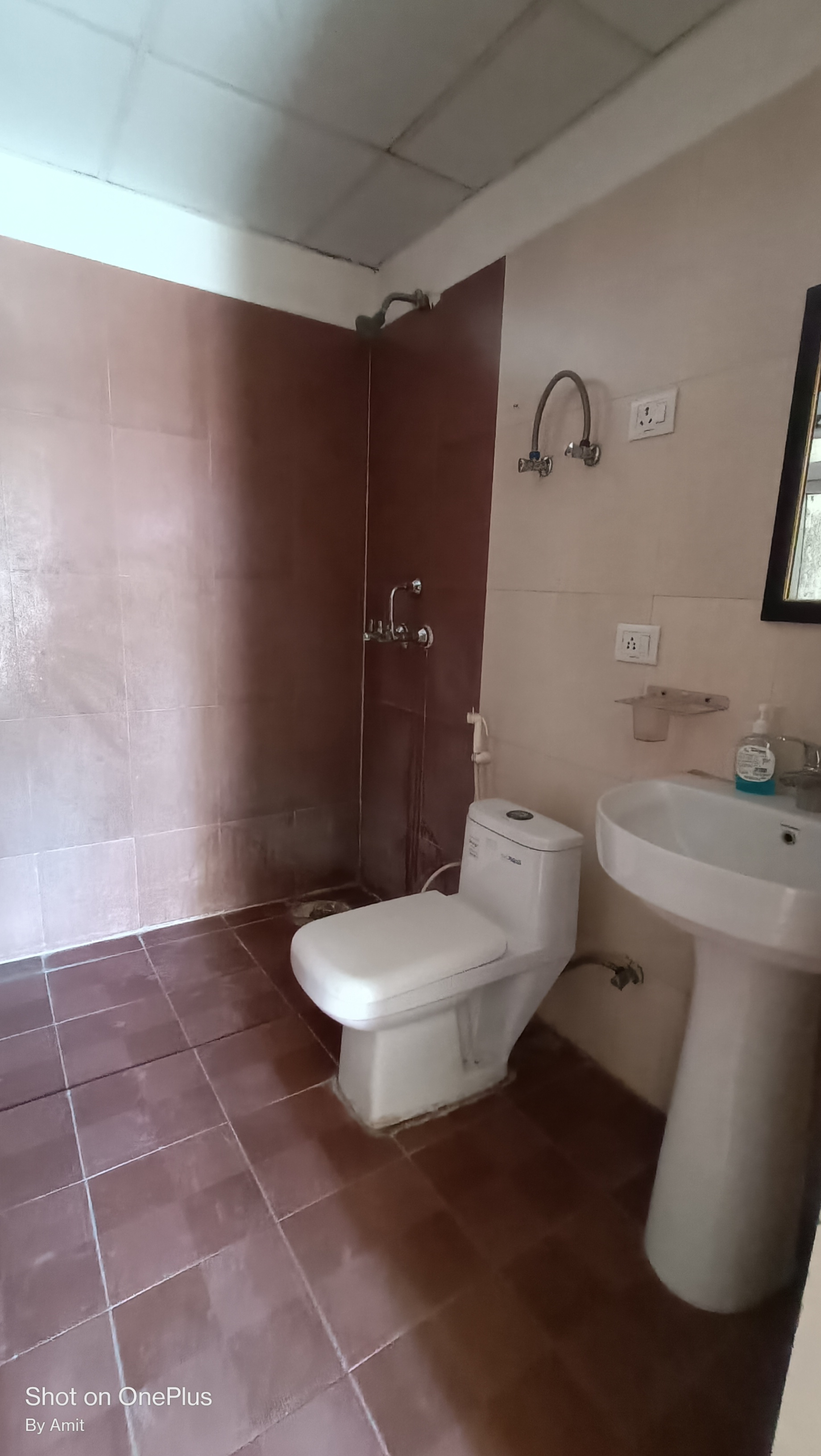 2 BHK + Study Room Apartment For Rent in Aims Golf Avenue II