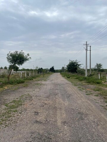 Plot Area in  Plot at Pasumamula – for Sale
