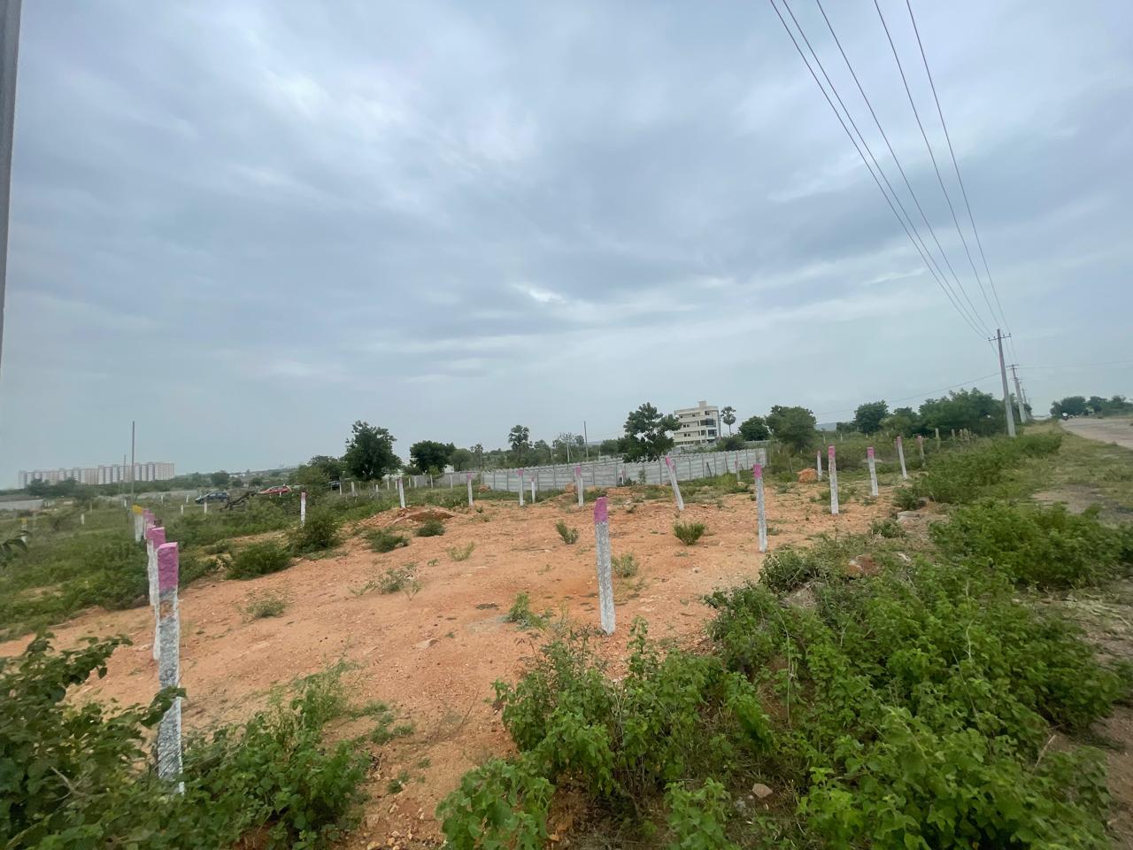 Plot For Sale in Pasumamula
