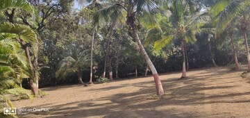  Land – Exterior View View at Alibag - for Sale