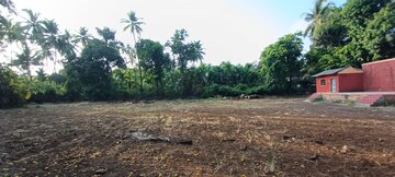  Land – Exterior View View at Alibag - for Sale