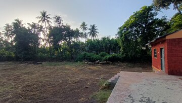  Land – Exterior View View at Alibag - for Sale