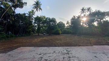  Land For Sale in Alibag