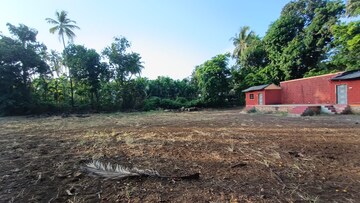  Land – Exterior View View at Alibag - for Sale
