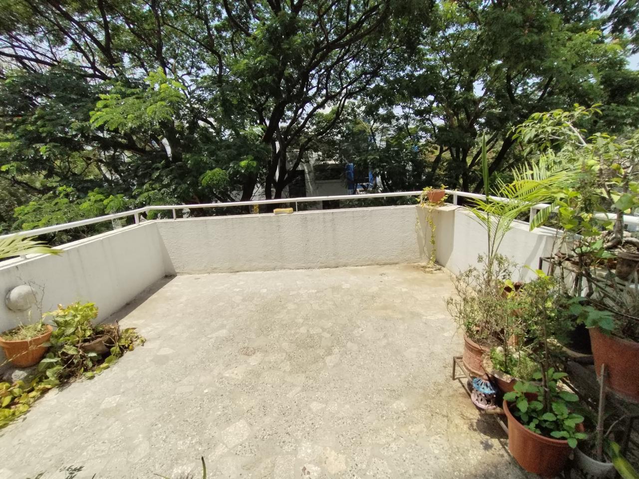 3 BHK Apartment For Sale in Clover Village