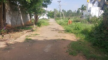 Plot Area in  Plot at Caroline Springs Plot, Chandapura – for Sale