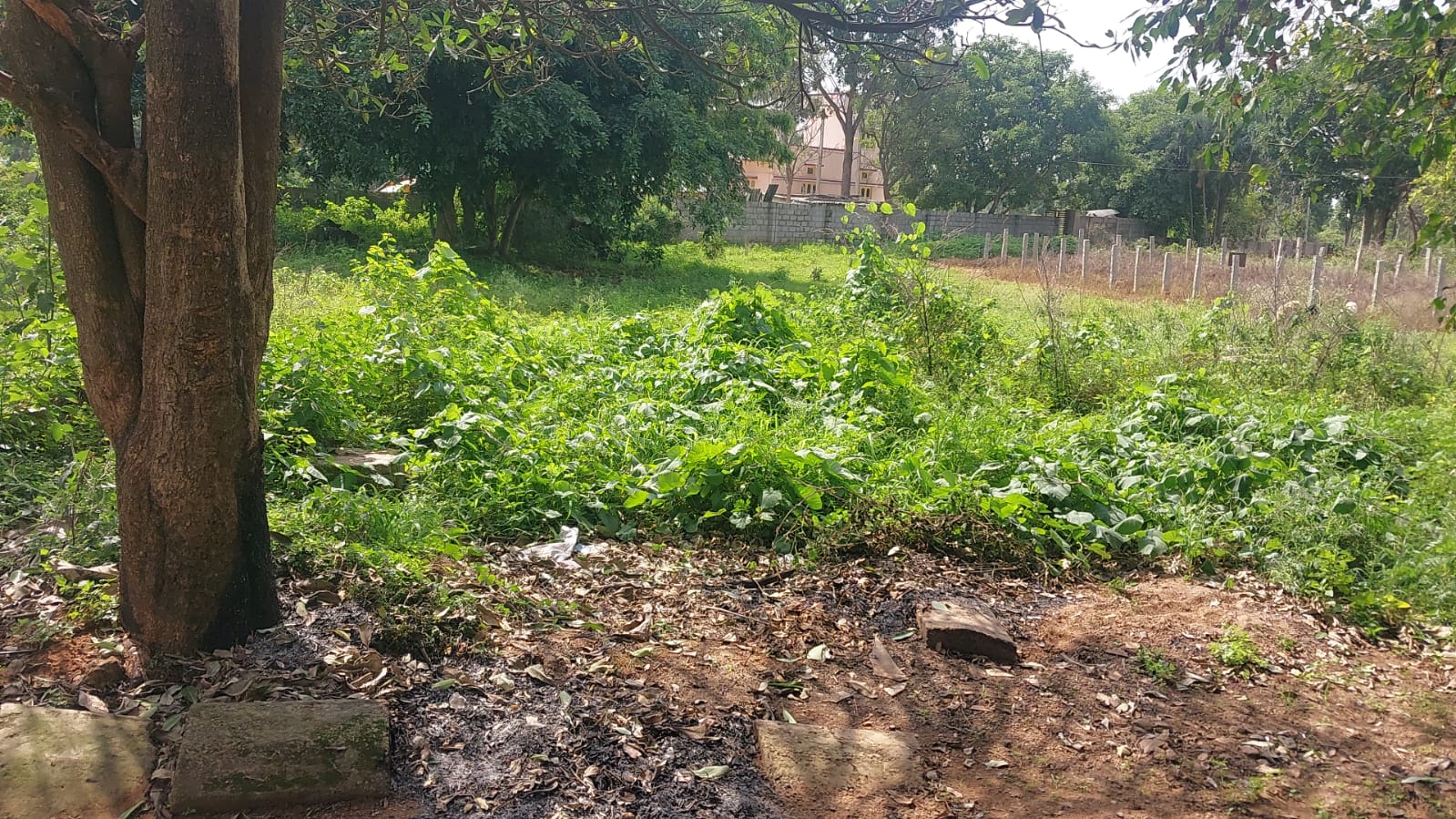 Plot For Sale in Caroline Springs Plot