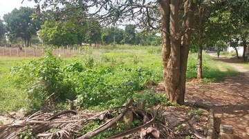 Plot Area in  Plot at Caroline Springs Plot, Chandapura – for Sale