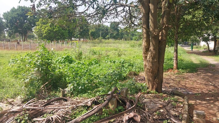 undefined, caroline-springs-plot  2400 Sq.Ft. Plot In Chandapura Bangalore 8938127