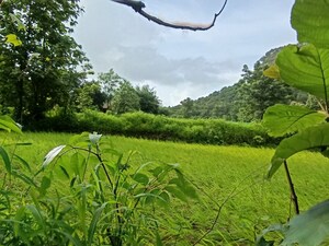 Plot Area in  Plot at Mangaon – for Sale