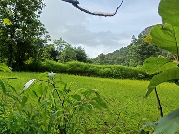 Plot Area in  Plot at Mangaon – for Sale
