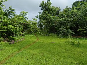 Plot Area in  Plot at Mangaon – for Sale