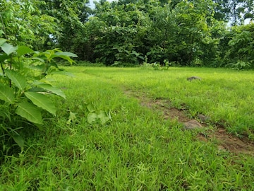  Plot For Sale in Mangaon