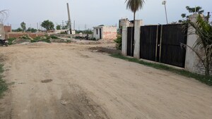  Plot For Sale in Sector 142