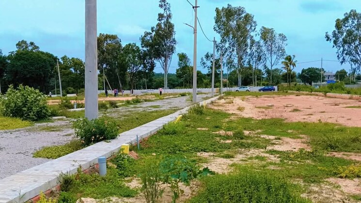 Garden, dev-city-dadri  80 Sq.Yd. Plot In Chhapraula Greater Noida 8938259