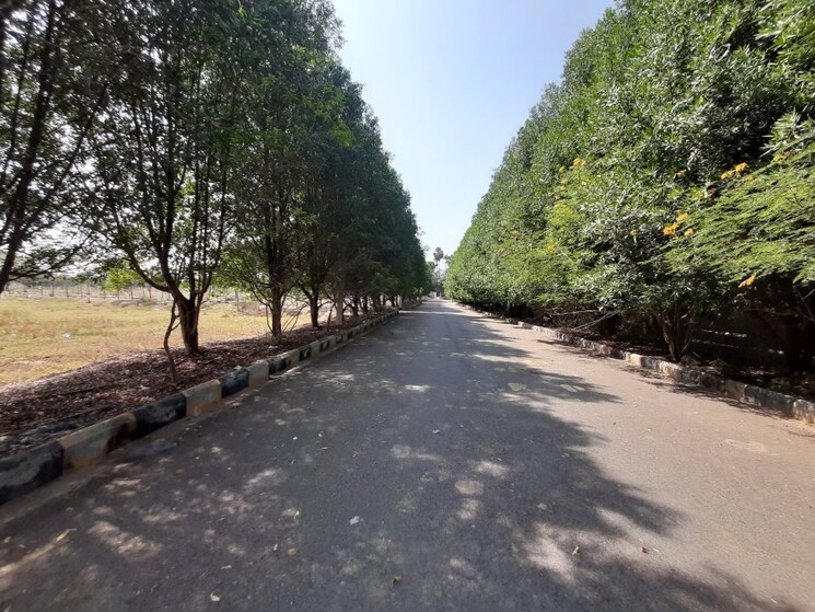 Exterior View, tukkuguda  200 Sq.Yd. Plot In Tukkuguda Hyderabad 8938491