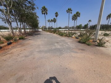 Plot Area in  Plot at Tukkuguda – for Sale