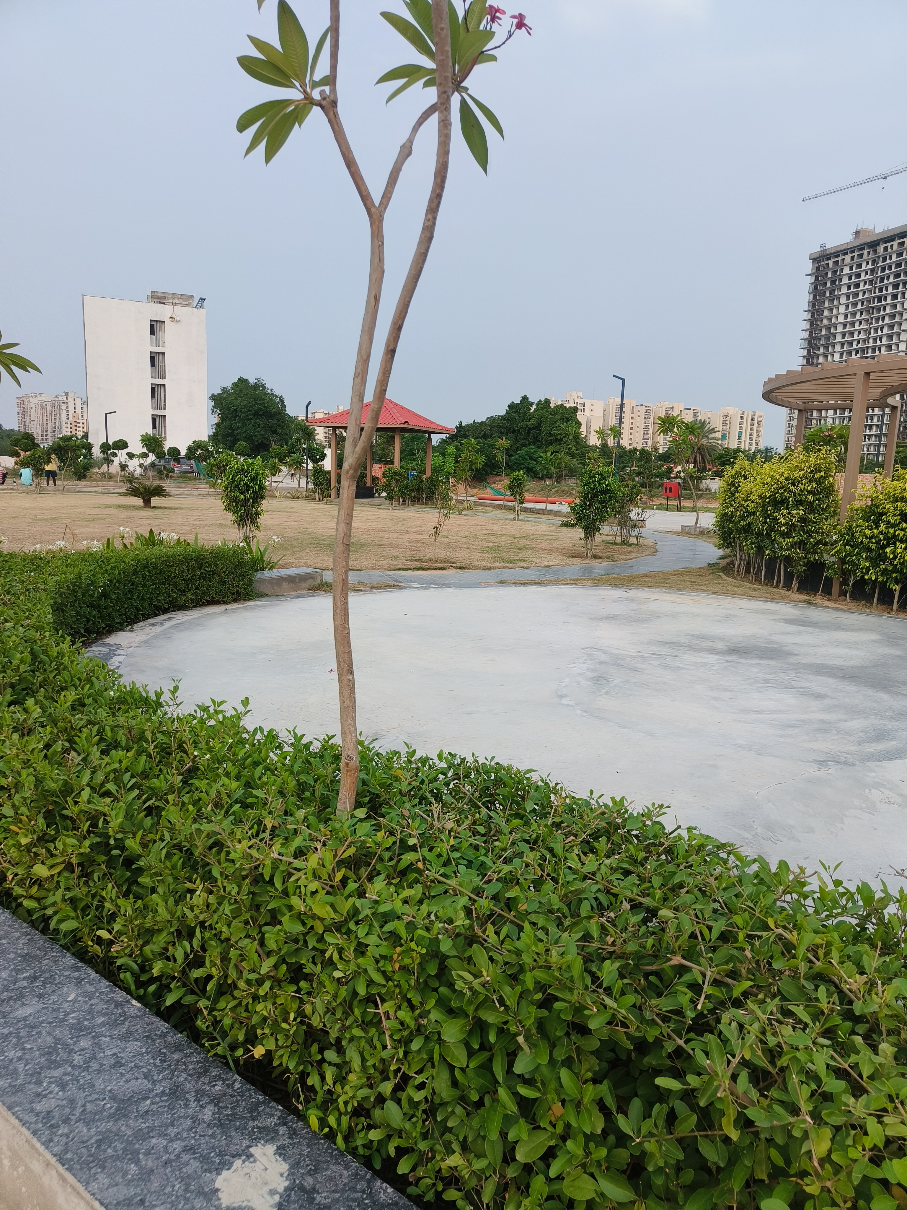 Plot For Sale in JMS The Nation