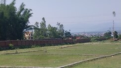 Plot For Sale in Sherpur