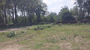 Plot Area in  Plot at Sherpur – for Sale