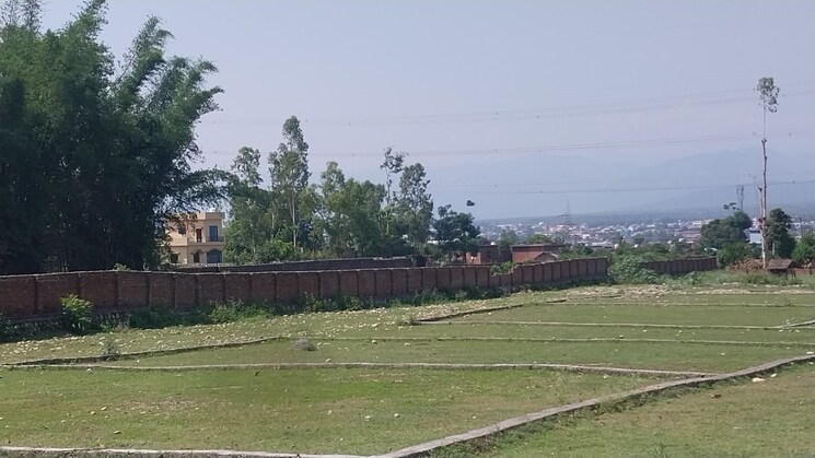 undefined, sherpur  259 Sq.Yd. Plot In Sherpur Dehradun 8938749