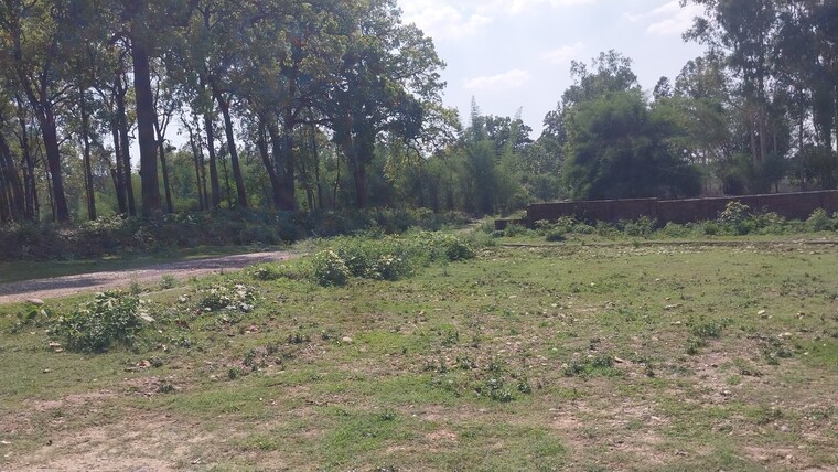undefined, sherpur  259 Sq.Yd. Plot In Sherpur Dehradun 8938749