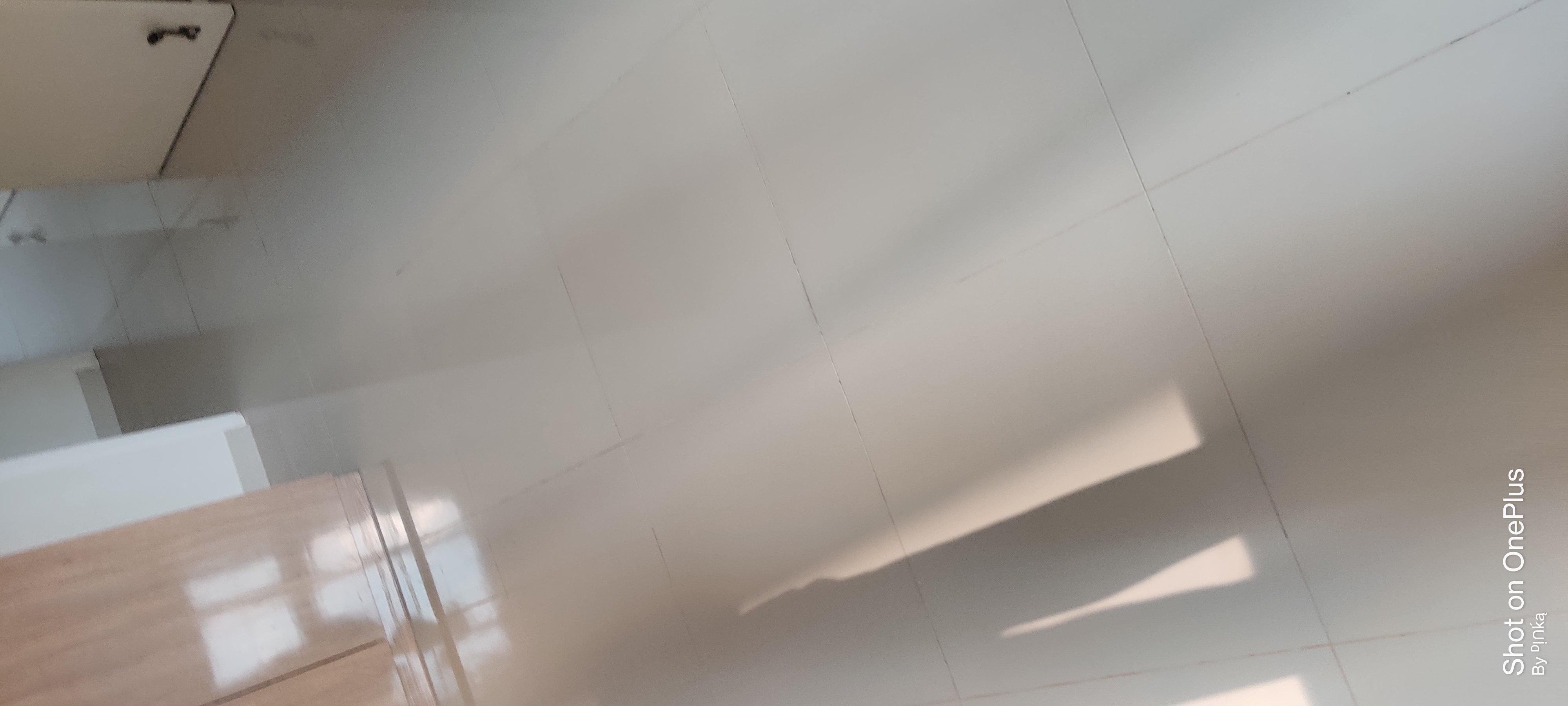 3 BHK 1645 Sq.Ft. Apartment in LnT Raintree Boulevard