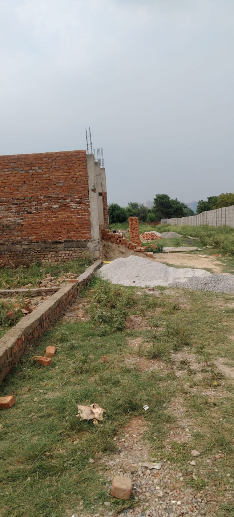 undefined, sector 123  100 Sq.Yd. Plot In Sector 123 Noida 8938879