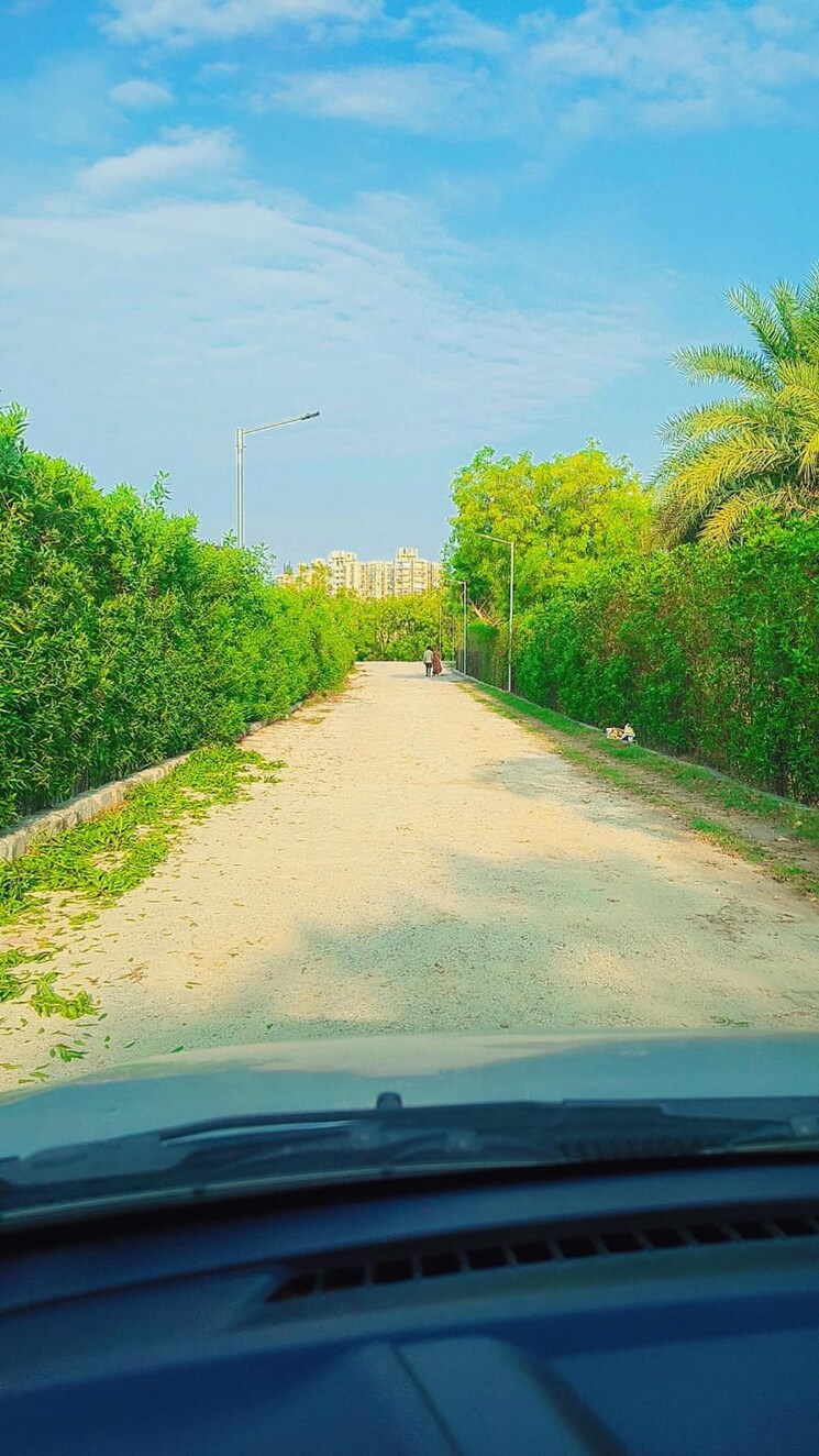 Garden, ifs-villas  300 Sq.Yd. Plot In Chi Ii Greater Noida Greater Noida 8938899