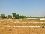 800 Sq.Ft. Plot in Aaradhya City