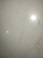 2 BHK + Pooja Room 1260 Sq.Ft. Apartment in Sunshine La Grand