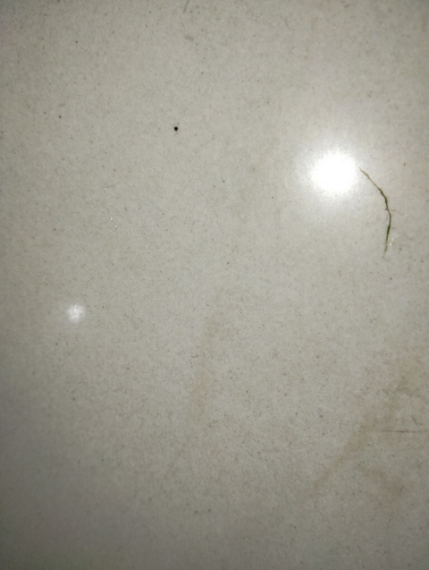 2 BHK + Pooja Room Apartment For Rent in Sunshine La Grand