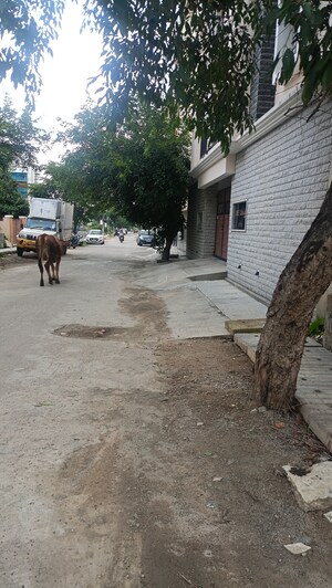  Plot – Exterior View View at Doddakammanahalli - for Sale