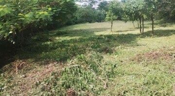Plot Area in  Plot at Ucassaim – for Sale