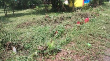 Plot Area in  Plot at Ucassaim – for Sale