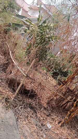 Plot Area in  Plot at Daadys Gaarden, Electronic City Phase ii – for Sale