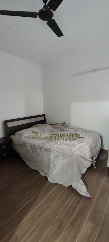 3 BHK Apartment For Rent in Sobha Palm Courts, Kogilu