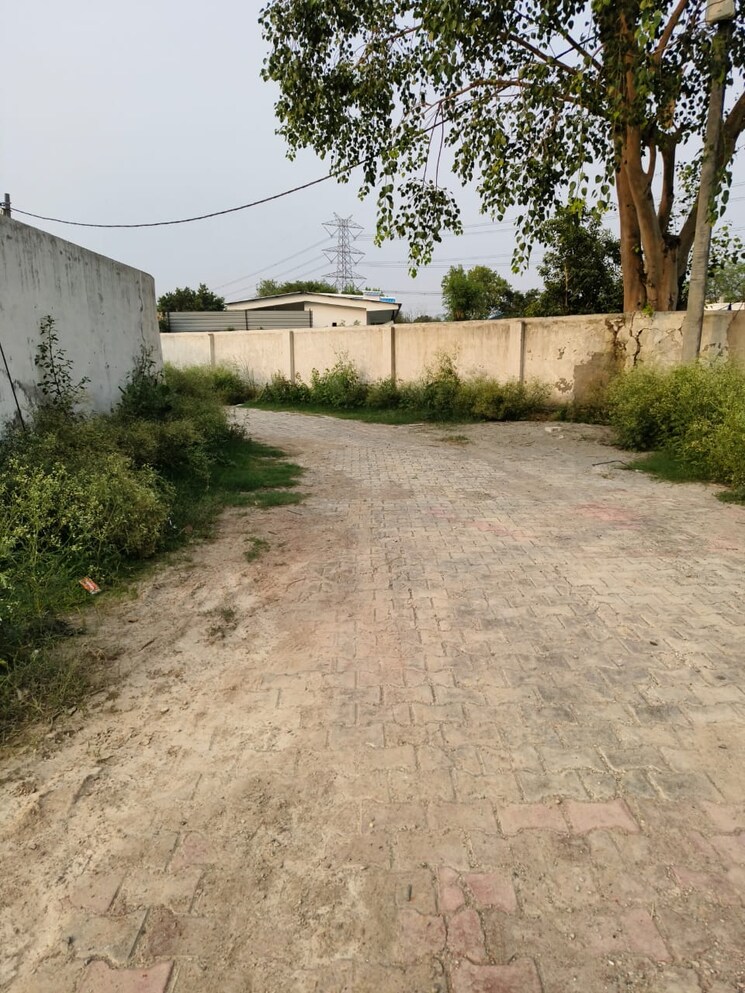 undefined, chi v greater noida  600 Sq.Yd. Plot In Chi V Greater Noida Greater Noida 8939711