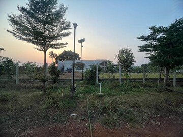 Plot Area in  Plot at Boriyakhurd – for Sale