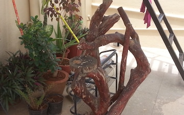 Gym in 1 RK Independent House at Rt Nagar – for Rent
