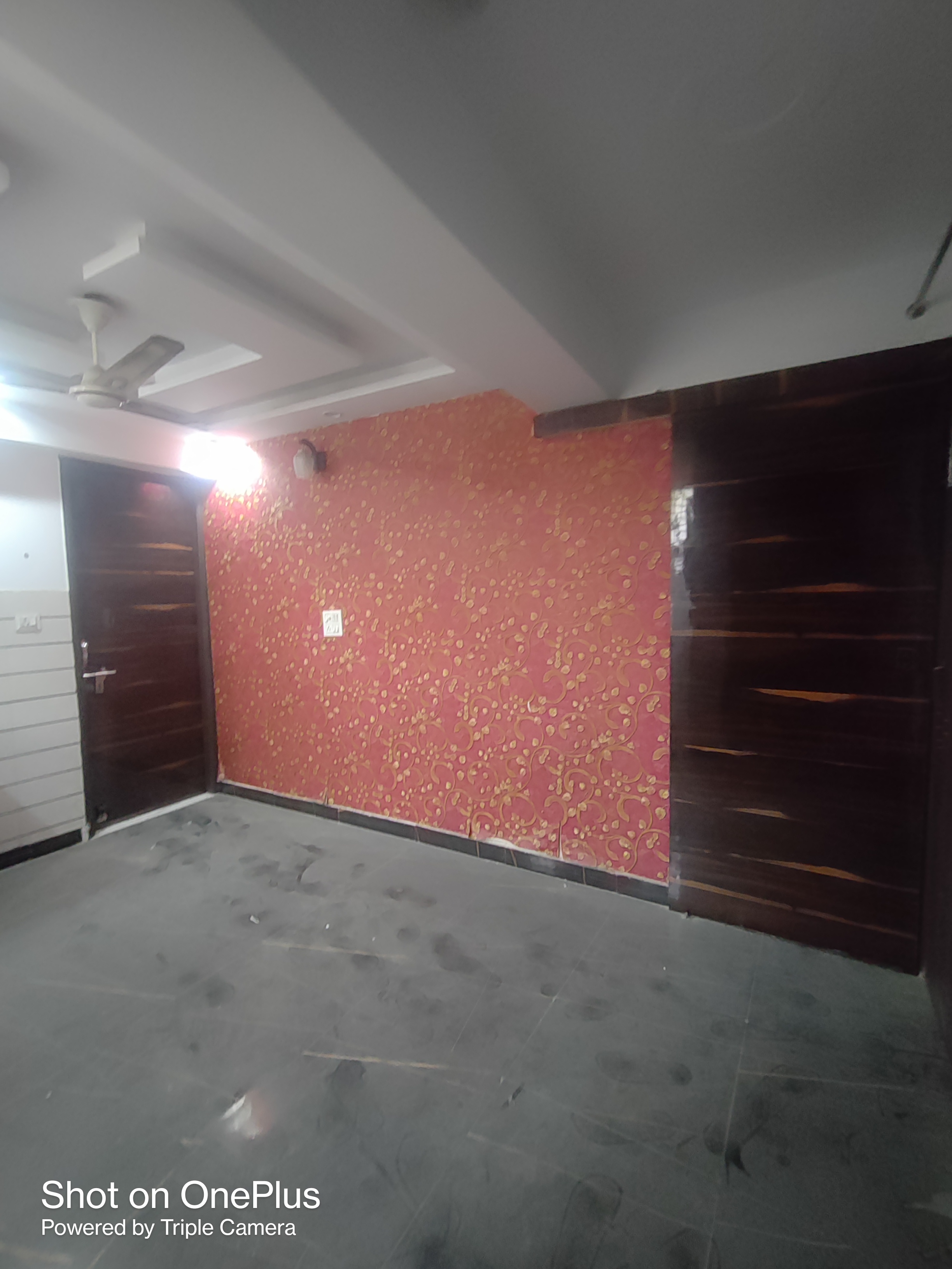 1 BHK Builder Floor For Rent in Mansa Ram Park