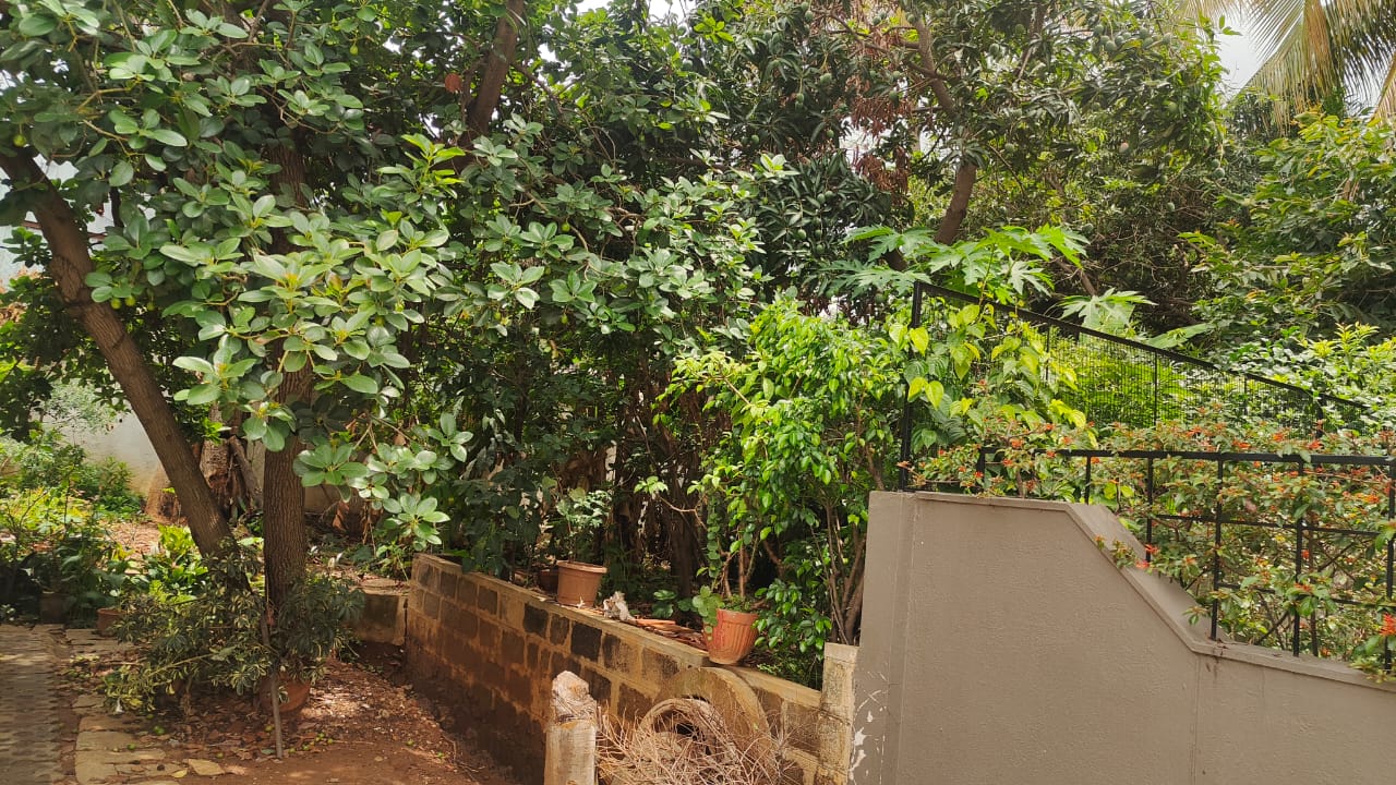 Plot For Sale in LG Lake Dew